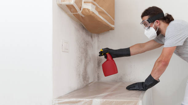 Professional Attic Mold Removal technician working in Omena, MI